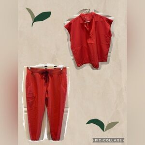 FIGS Clay Scrub Set - Women’s Large Top and Pant